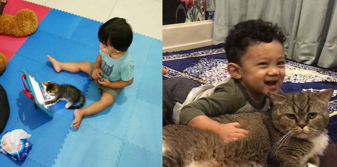 24 Foto Persahabatan Bayi Dan Kucing Yang Akan Buat Hati Anda Cair