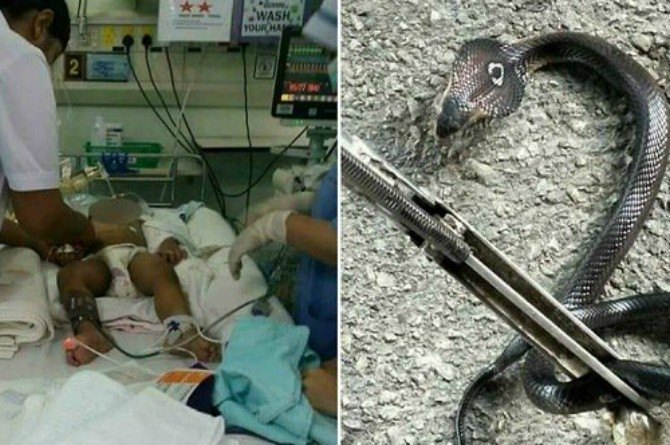 Pussy Slurping Onlayn