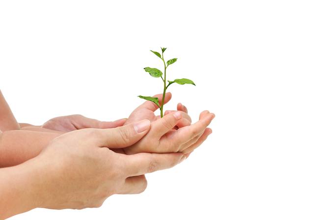 7 Expert tips for parents on instilling moral values in kids