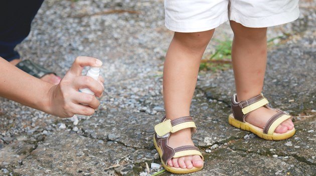 virus japanese encephalitis, virus bahaya pada kanak-kanak, jangkitan virus pada kanak-kanak, virus bahaya pada anak, jangkitan virus, virus berbahaya, jangkitan virus berbahaya