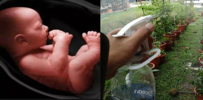 AWAS, racun serangga mengundang masalah lemah mental pada janin