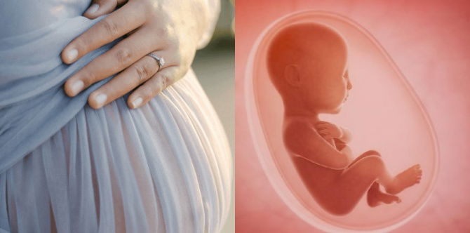 Kandungan 18 Minggu: Perut Ibu Semakin Membesar & Otak Janin Berkembang Pesat