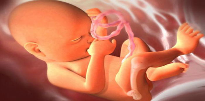 Pembentukan Otak Bayi Semakin Lancar di Minggu ke-30 Kehamilan
