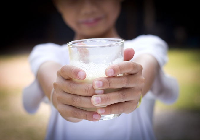 what is milk powder made of