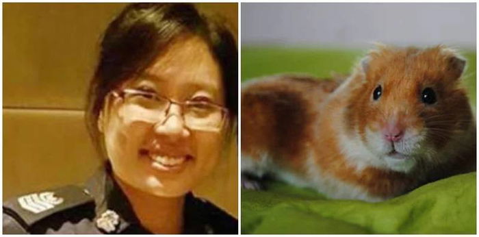 Ibu Anak Tiga Mati Lepas Digigit Hamster - Gigitan Hamster Bahaya Ke?