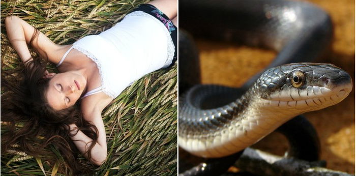 Tolong, Saya Mimpi Ular Ketika Hamil! Adakah Ia Satu Petanda Buruk?
