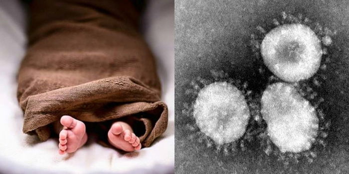 Novel Coronavirus Boleh Merebak Pada Bayi Dalam Kandungan, Walaupun Tidak Alami Sebarang Gejala - Doktor