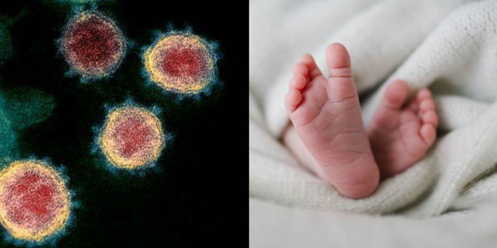 Ibu Masih Dalam Pantang, Bayi 12 Hari Mangsa Paling Muda Dijangkiti Wabak COVID-19
