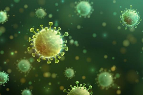 harimau di new york dijangkiti coronavirus