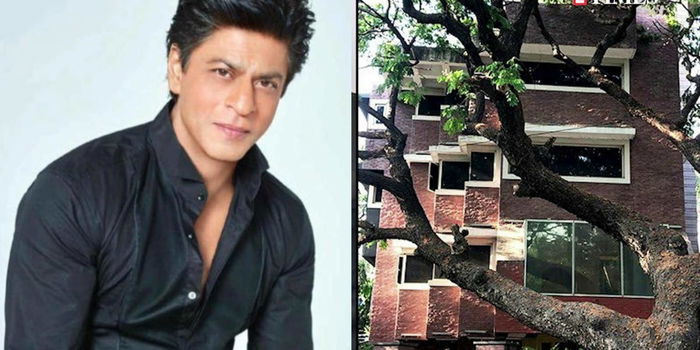 Dalam Diam Buat Kebaikan, Pejabat 4 Tingkat Shah Rukh Khan Dijadikan Pusat Kuarantin