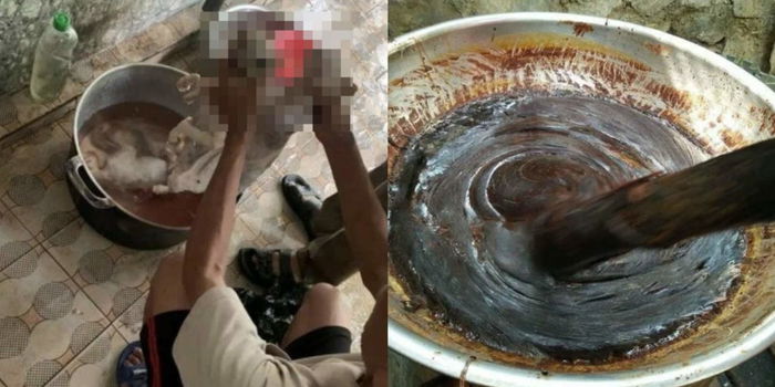 Kucing Hitam Dibunuh & Dijadikan Pes Kerana Percaya Ia Mampu Menjadi Penawar Covid-19