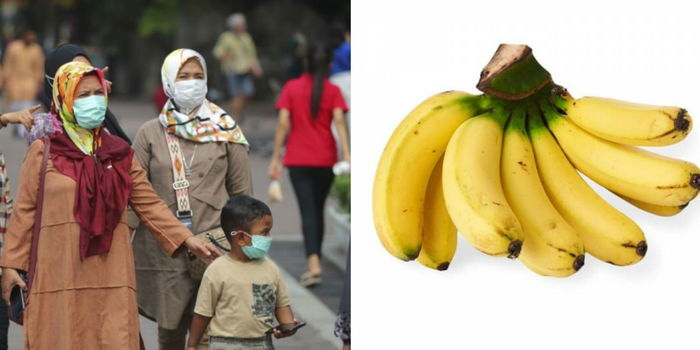 Makan Pisang Dapat Meningkatkan Ketahanan Badan Bagi Mencegah Dijangkiti Covid-19?