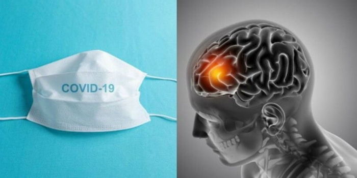 Penelitian Terbaru Covid-19, Virus Ini Dikatakan Boleh Menyerang Sistem Saraf Otak