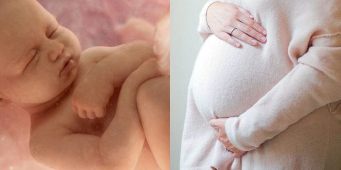 Tak Ramai Yang Tahu, Ini 6 Perjuangan Bayi Dalam Masa 24 Jam Sebelum Dilahirkan