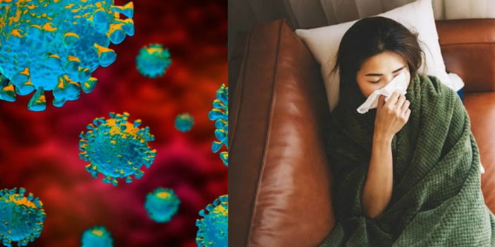 Pandemik Covid-19, Sejauh Manakah Sistem Kekebalan Tubuh Mampu Melawannya?