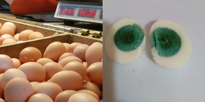 Lelaki Terkejut Telur Ayam Ternakannya Jadi Warna Hijau, Adakah Warna Telur Boleh Berubah?