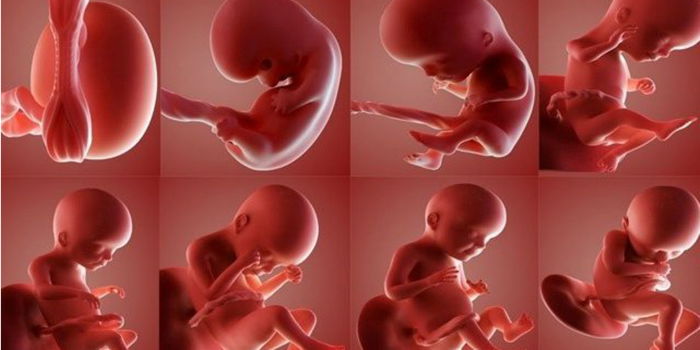 Bimbang Berat Janin Dalam Kandungan, Ini 2 Cara Nak Kira Berat Si Kecil Ibu Dari Rumah