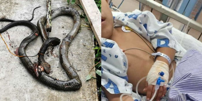 Eshaklarning porno fotosuratlari foto galereyasi