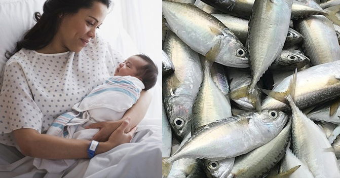Ikan Untuk Ibu Berpantang: 18 Jenis Ikan Yang Selamat Dimakan Selepas Bersalin & Tidak Gatal