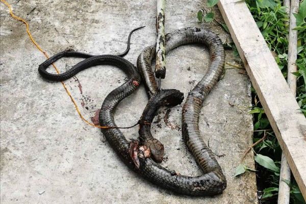 Kochada yotgan shirin onalarning porno videolari