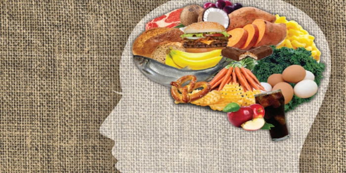 4 Makanan Terbaik Untuk Otak, Boleh Beri Anak Makan!