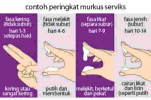 waktu subur wanita