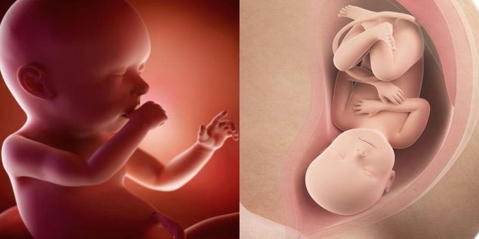 22 - 25 Minggu Kehamilan: Ini Yang Ibu Hamil Perlu Tahu Tentang Perkembangan Bayi, Dia Dah Boleh Bau!