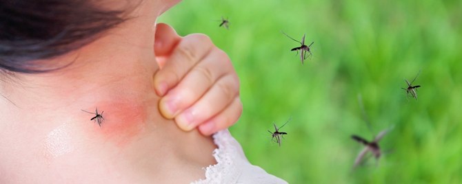 symptom of dengue
