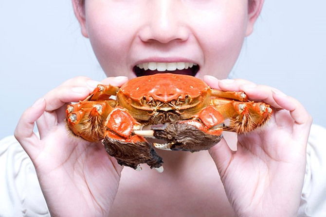 Teringin Makan Seafood Ketika Hamil? Sebelum Itu, Kenali Jenis Seafood Yang Bahaya Bagi Kandungan!