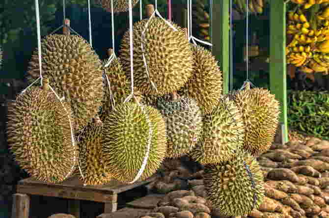 Resepi Serawa Durian Pekat & Berkrim, Sedapnya Makan Bersama Keluarga