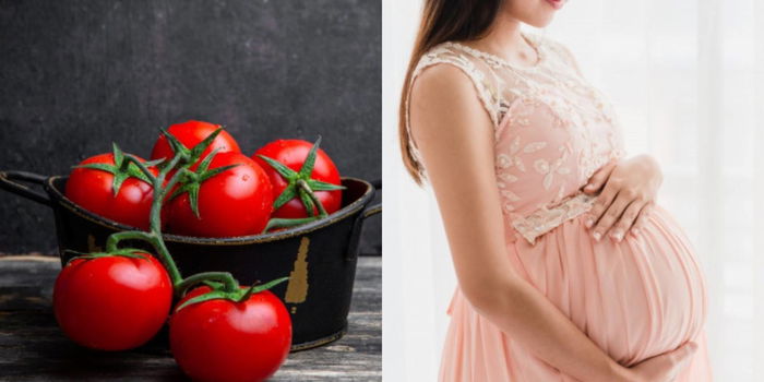 Khasiat Buah Tomato Untuk Ibu Hamil, Kaya Pelbagai Vitamin & Mencegah Pendarahan