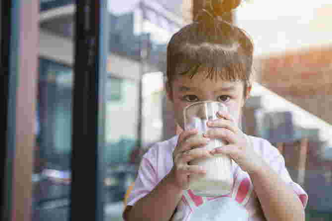 minum susu