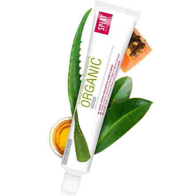 Dental Care How to Choose A Safe Toothpaste During Pregnancy