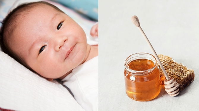 Madu Untuk Bayi Bawah Usia Setahun Adalah Bahaya, Jika Tersalah Bagi Boleh Membawa Maut!