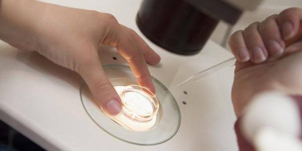 lahirkan anak pertama