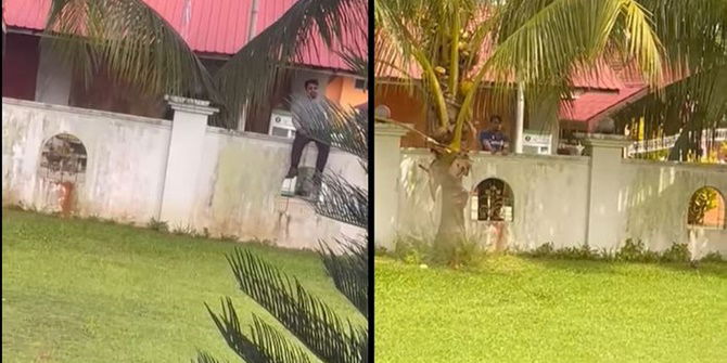 Dua Tahun Diganggu Bekas Suami Gila Talak, Selalu Buat Bising & Panjat Pagar Rumah