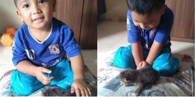 Anak Ingin Pelihara Kucing Jalanan, Letak Nama 'Tupperware' Takut Dibuang Oleh Ibu
