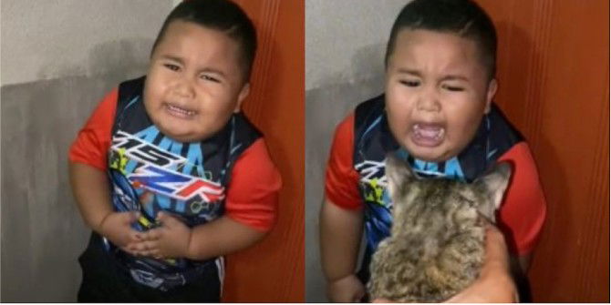 (Video) Reaksi Lucu Budak Lelaki Bambam Takut Kucing Buat Ramai Terhibur, Kesian Dia!