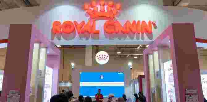 Royal Canin Dekati Pencinta Haiwan Dan Pemilik Kucing Serta Anjing Di Ekspo Kucing 2022 Dengan Jayanya