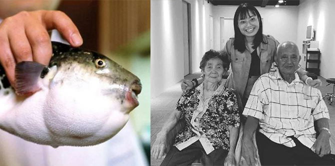 Bahaya Ikan Buntal, Selepas Isteri, Suami Pula Disahkan Maut