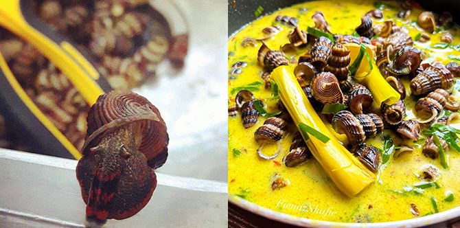 Variasi Resepi Siput Sedut Menu Kampung Asli, Sedap Dan Menyelerakan