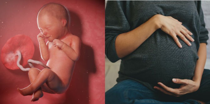 Air Ketuban/ Cecair Amniotik: Fungsi Air Ketuban, Warna & Bacaan Yang Normal