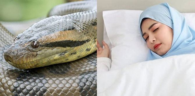 Mimpi Ular, 17 Maksudnya Menurut Pandangan Islam, Jauhi Diri Dari Ramalan Yang Menyesatkan