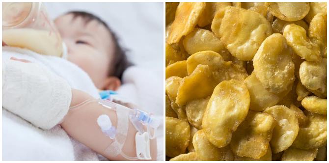 Jangan Sembarangan Suap Anak Orang, Ada Yang Tak Boleh Makan Kacang Parang Kerana Penyakit G6PD!