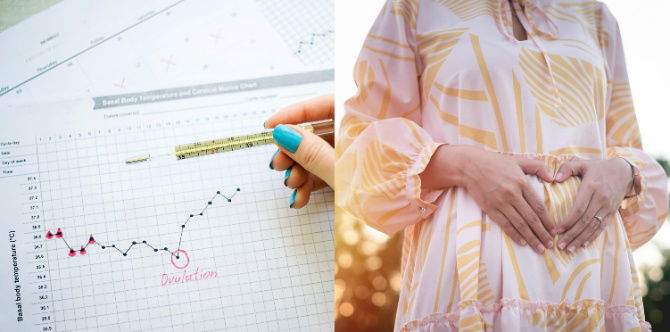 Suhu Badan Basal: Tips Mengetahui Waktu Subur Wanita & Peluang Untuk Berjaya Hamil