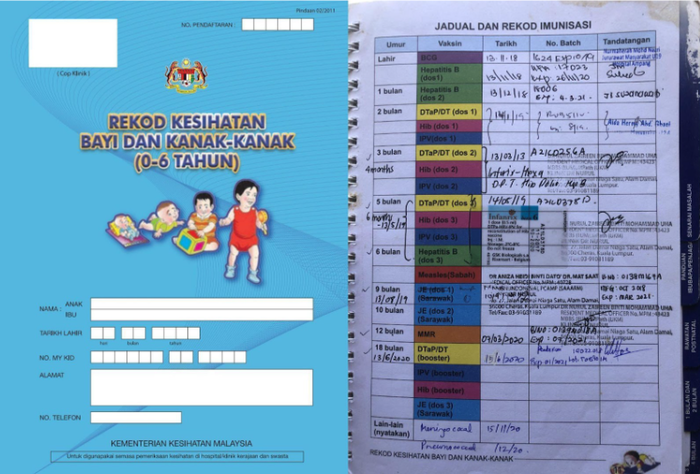 Do You Really Understand All The Vaccines Listed In Your Child's Health Booklet?