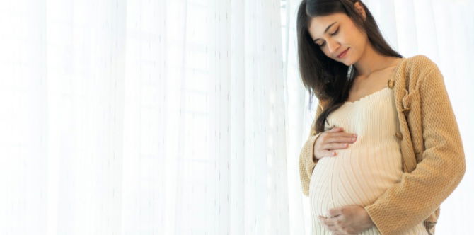 Sphingomyelin Untuk Ibu Hamil: Apa Itu Sphingomyelin, Manfaat & Sumber Makanan