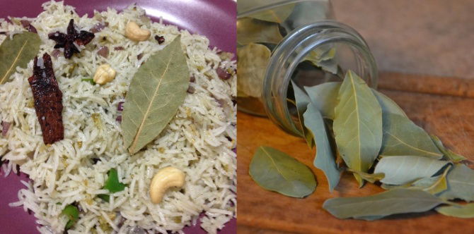 Daun Salam (Bay Leaf): Kegunaan Dan Khasiat Baik Untuk Pencernaan