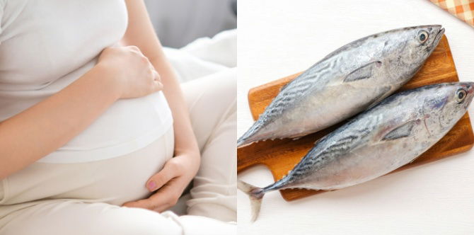 Ikan Tongkol Untuk Ibu Hamil (Mackerel Tuna): Khasiat, Cara Pengambilan & Tips Keselamatan