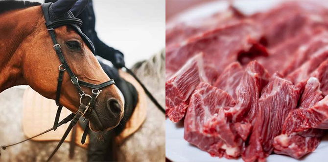 Hukum Makan Daging Kuda Dalam Islam, Ini Penjelasan Menurut Mufti WP